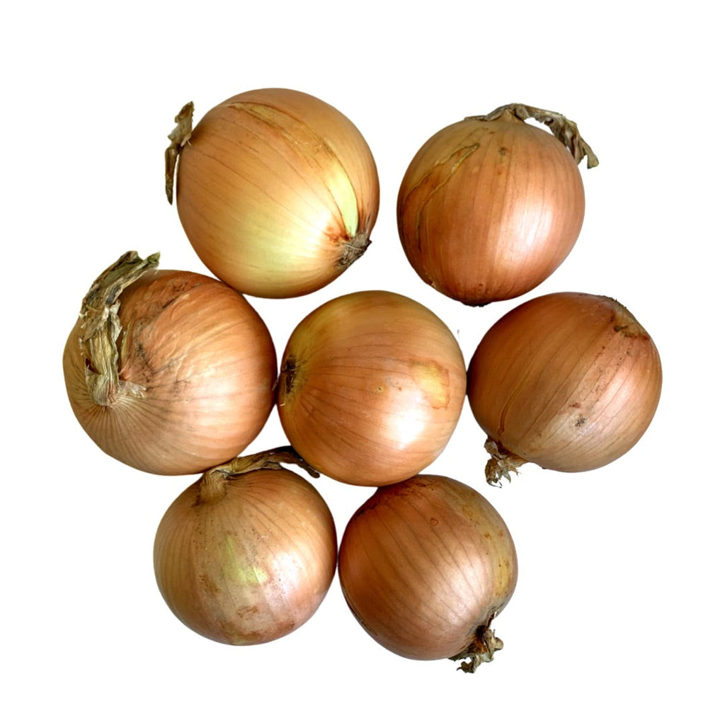Rideau Pine Farm - White Onions (2.5lbs)