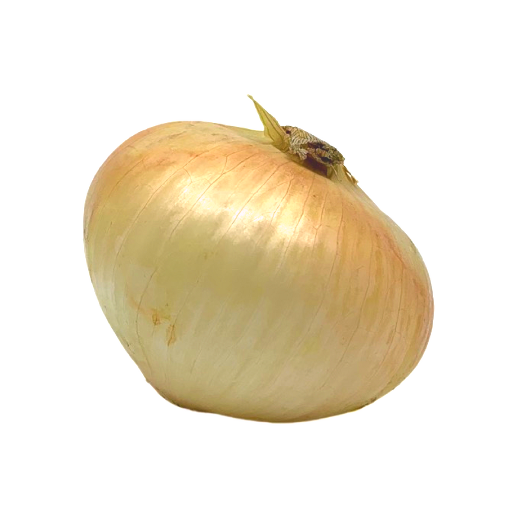 Orleans - Sweet Onion (each)
