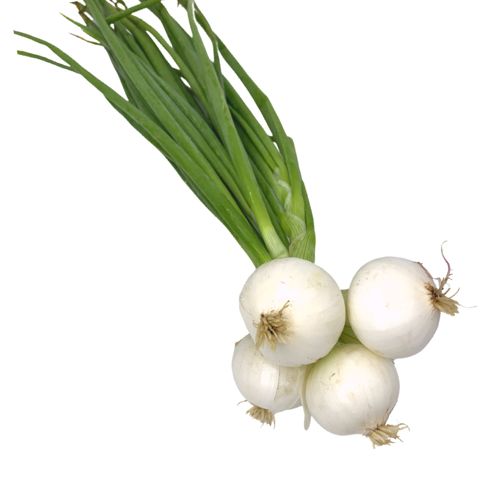 Terramor Farm- Pearl Onions (1lb)