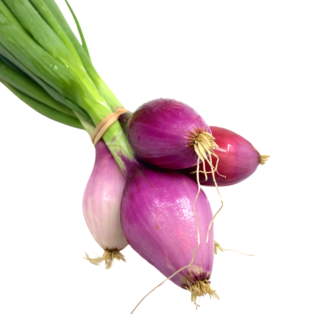 Terramor Farm- Tropea Red Onions (1lb)