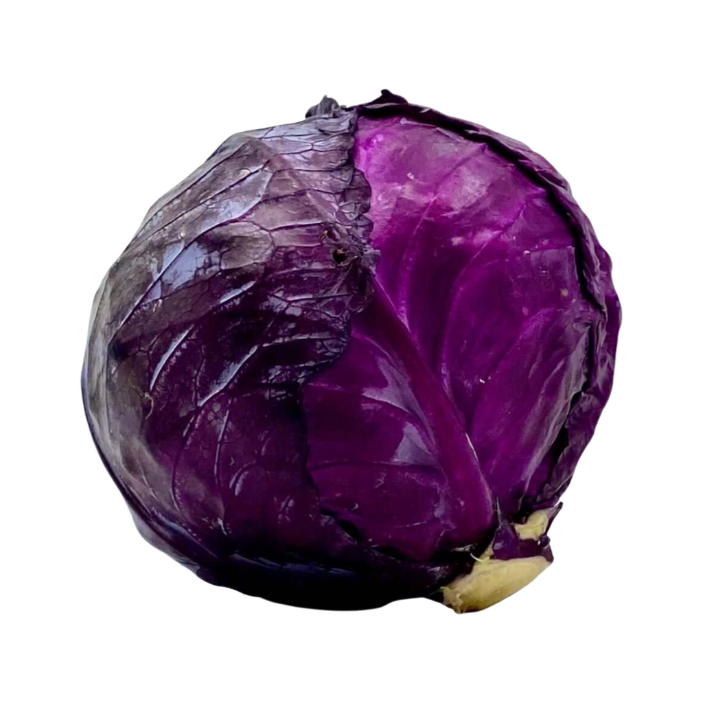 Rideau Pines Farm - Red Cabbage