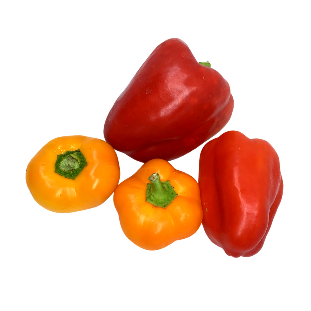 Rideau Pines Farm- Mixed Sweet Peppers (4pc)