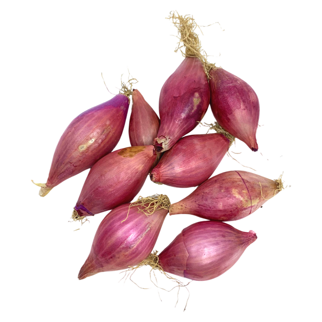 Terramor Farm- Tropea Red Onions (1lb)
