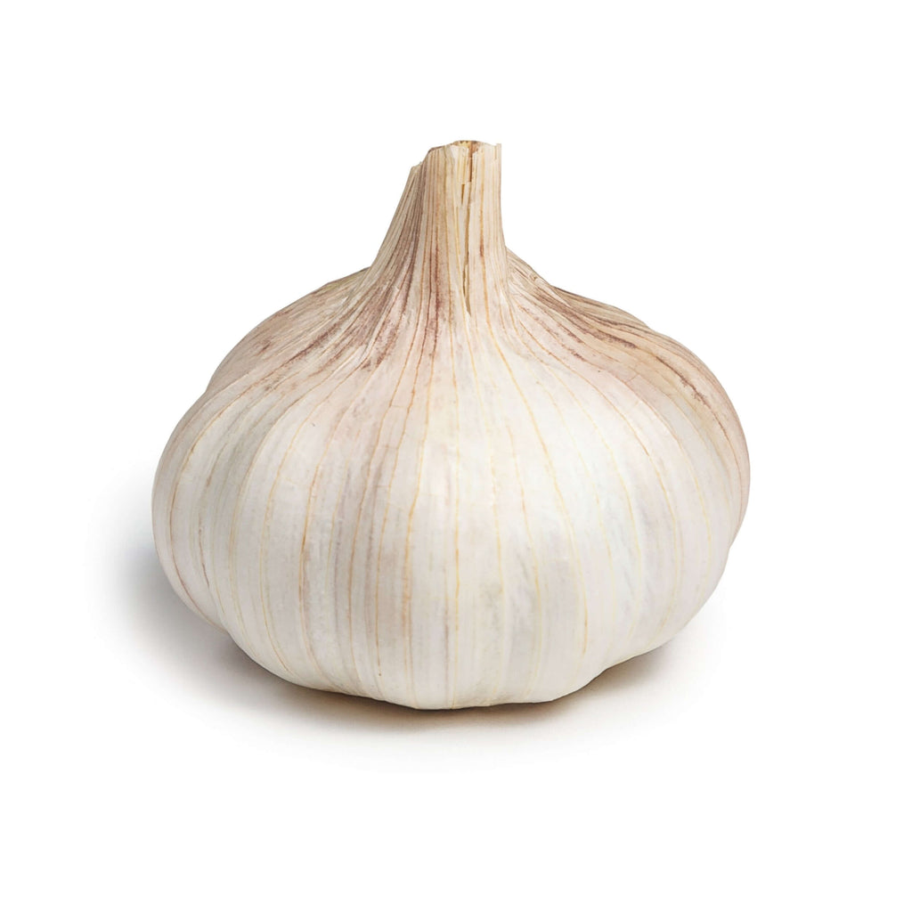 Rideau Pines Farm- Garlic (1 head)