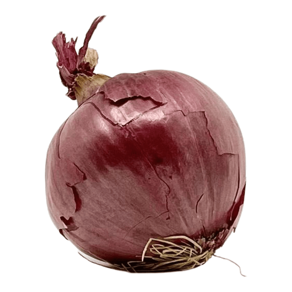 Terramor Farm- Red Onion (each)