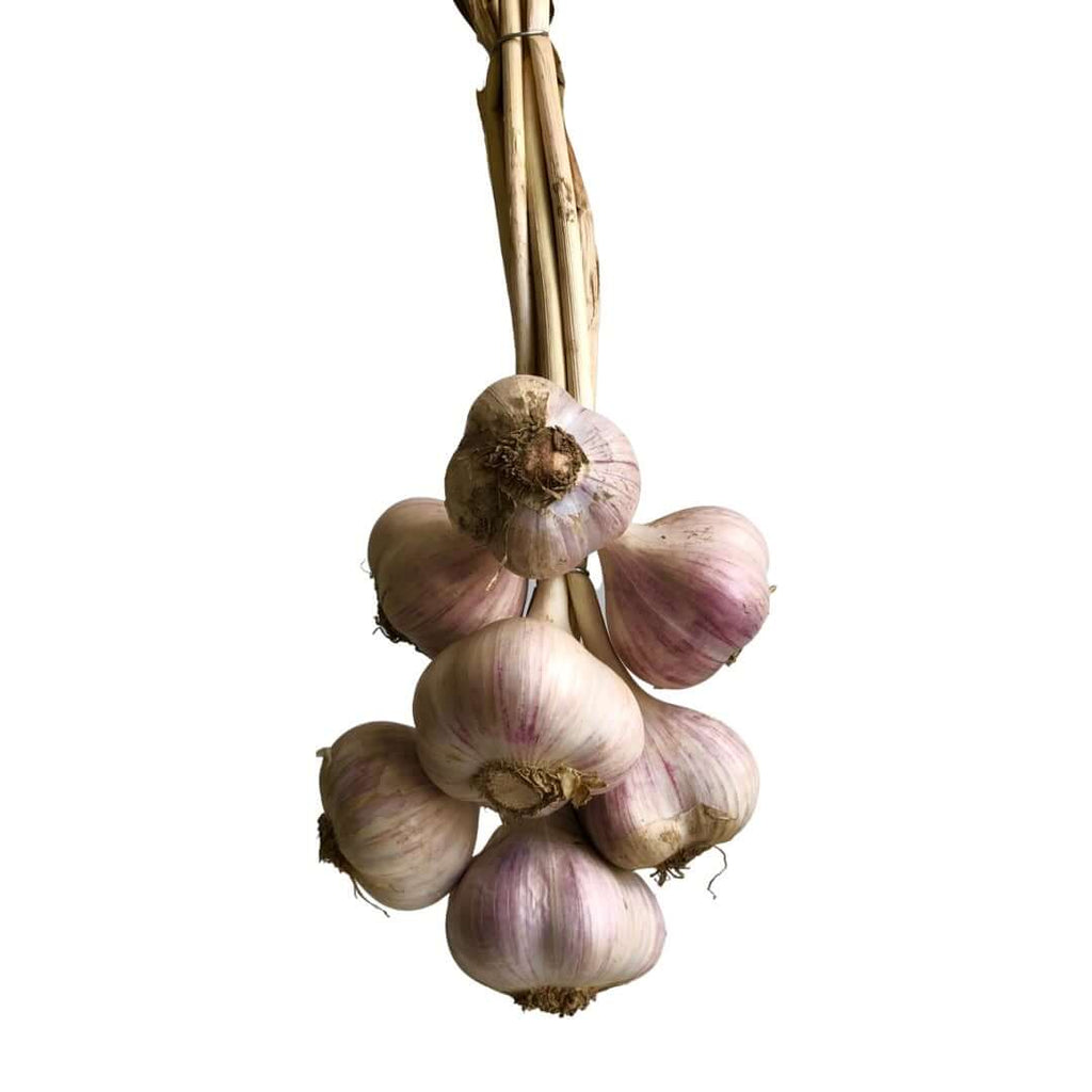 Rideau Pine Farm- Garlic Bundle