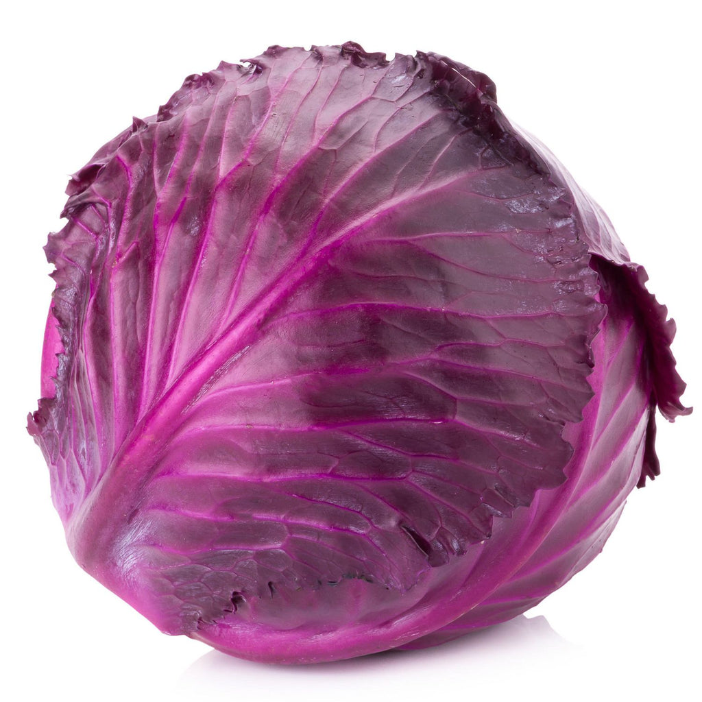 Orleans- Red Cabbage (each)