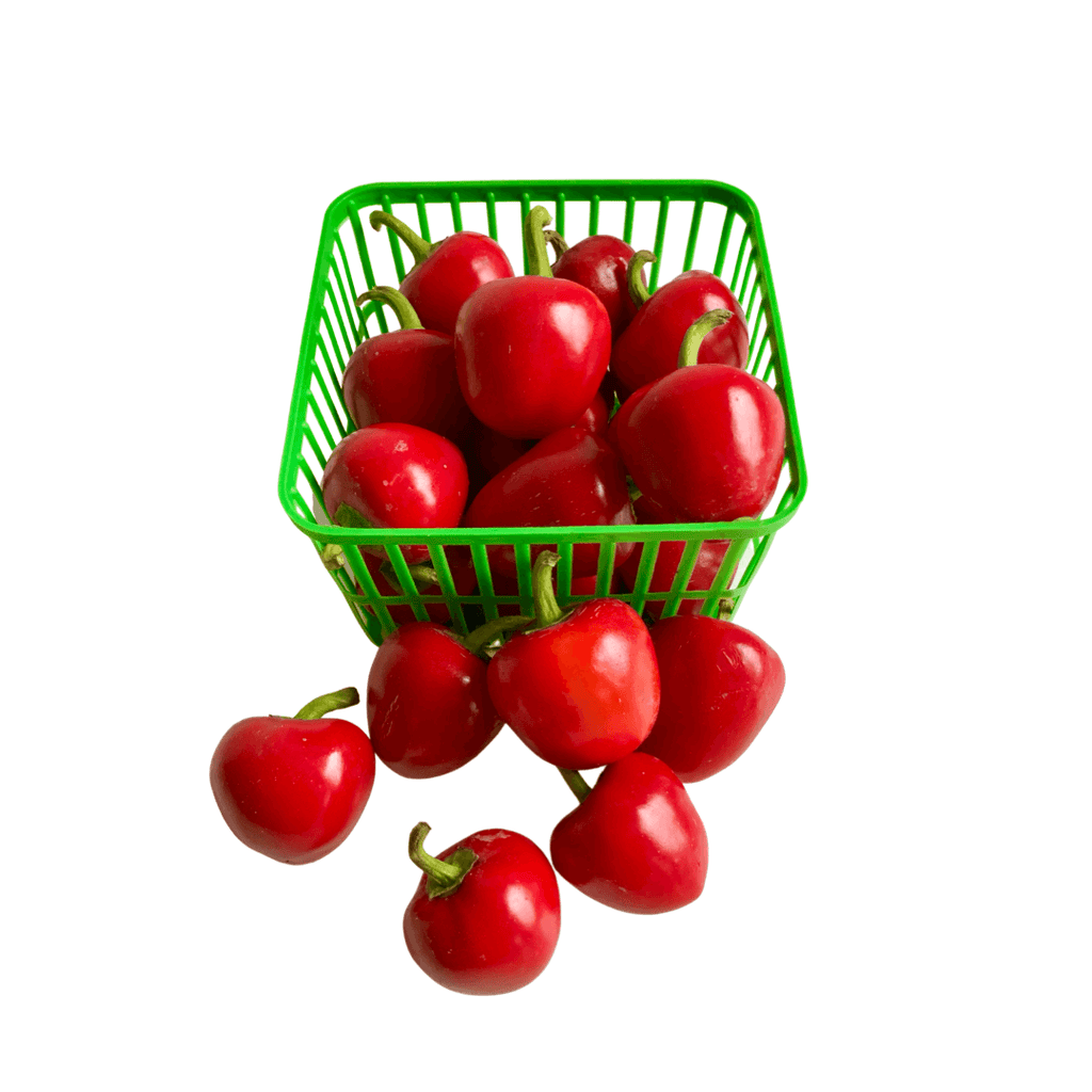 Rideau Pines Farm- Cherry Bomb Hot Peppers (1lb)