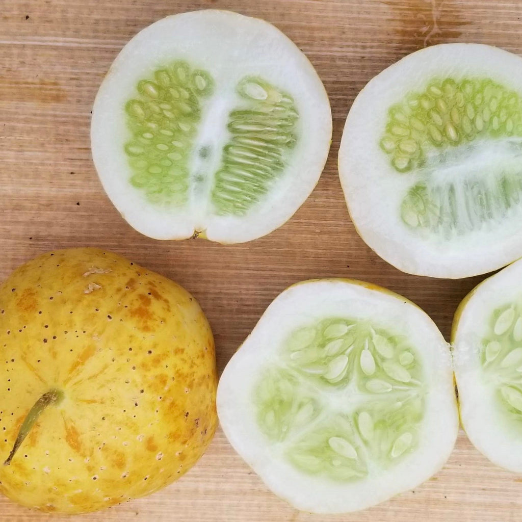 Gaia Organic Seeds - Lemon Cucumber