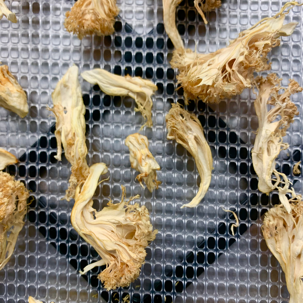 Burrow Shop - Dried Lion's Mane Mushrooms (15g)