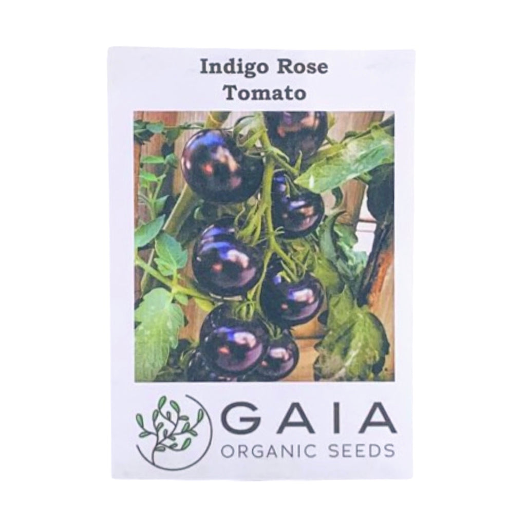 Gaia Organic Seeds- Indigo Rose Tomato