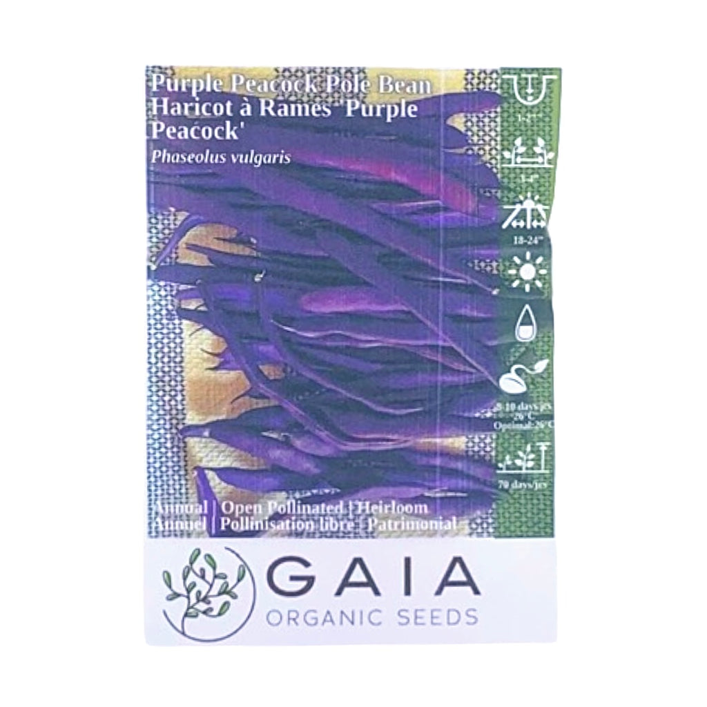Gaia Organic Seeds - Purple Peacock Pole Bean