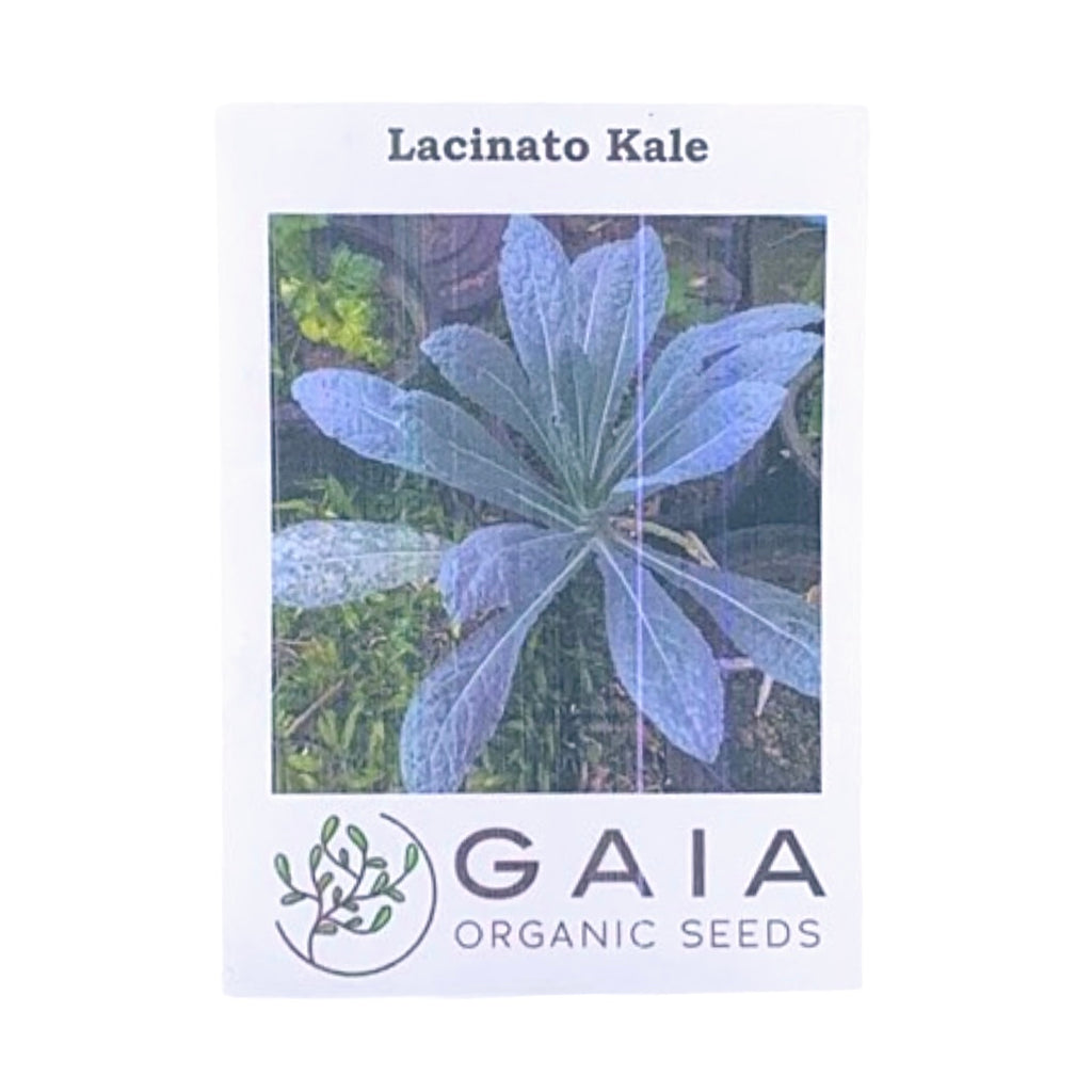Gaia Organic Seeds - Lacinato Kale