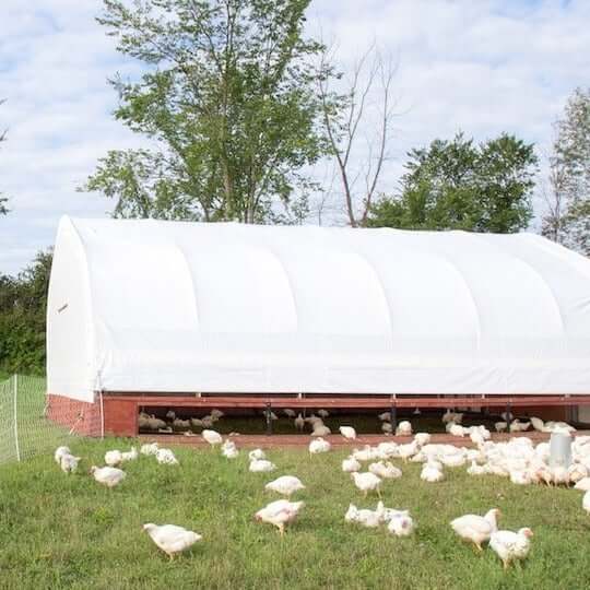 Merrifield Farms- Pasture Raised Whole Chicken