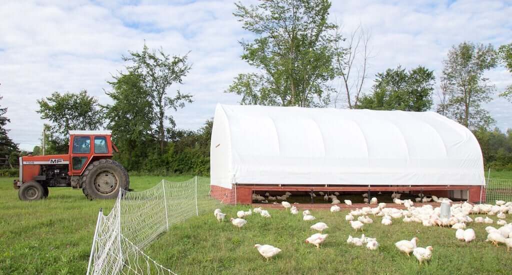 Merrifield Farms- Pasture Raised Chicken Breasts