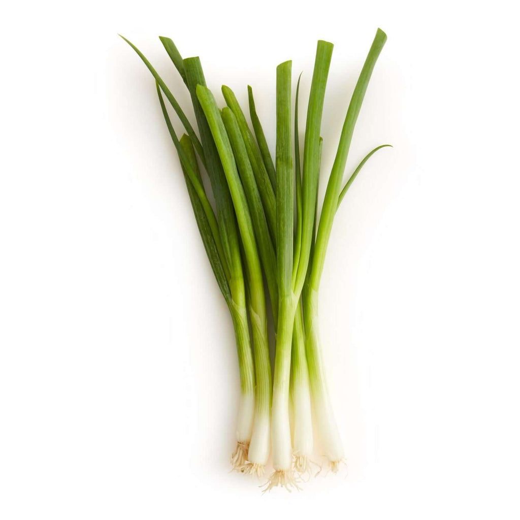 Orleans- Green Onion (Bunch)